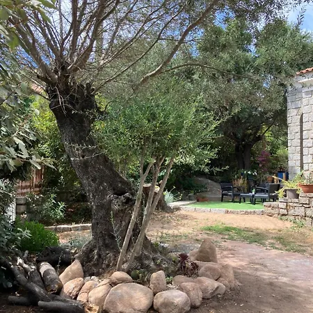 Vue à 300m Du Centre-ville De Porto-vecchio * Porto Vecchio