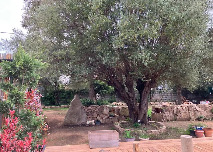 Vue Mer, Jardin Terrasse, Parking Prive A 300m Du Centre-ville De Porto-vecchio פורטו-וישיו