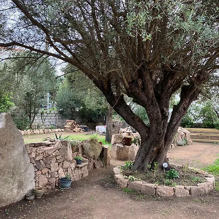 Vue Mer, Jardin Terrasse, Parking Prive A 300m Du Centre-ville De Porto-vecchio * Porto-Vecchio (Corsica)