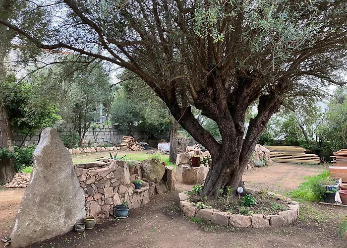 Vue Mer, Jardin Terrasse, Parking Prive A 300m Du Centre-ville De Porto-vecchio * Porto-Vecchio (Corsica)